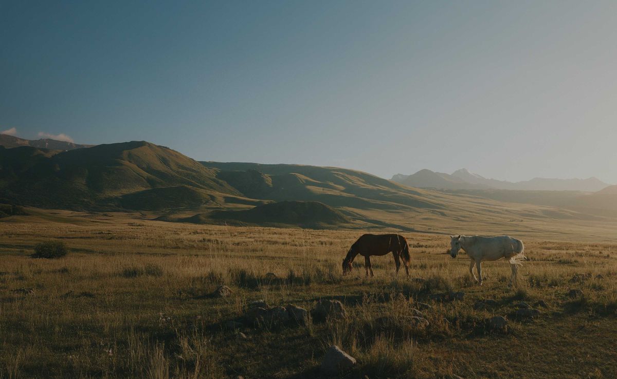 Issue 04 / Autumn 2025