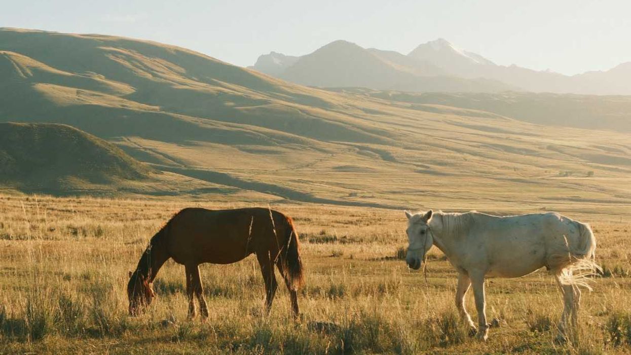 Issue 04 / Autumn 2025