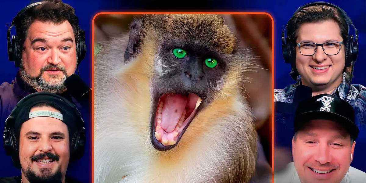 Mississippi marked safe from disease-ridden monkey escapees Mississippi marked safe from disease-ridden monkey escapees