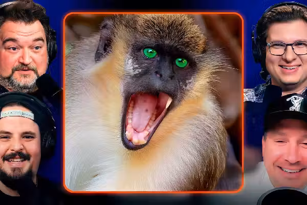 Mississippi marked safe from disease-ridden monkey escapees