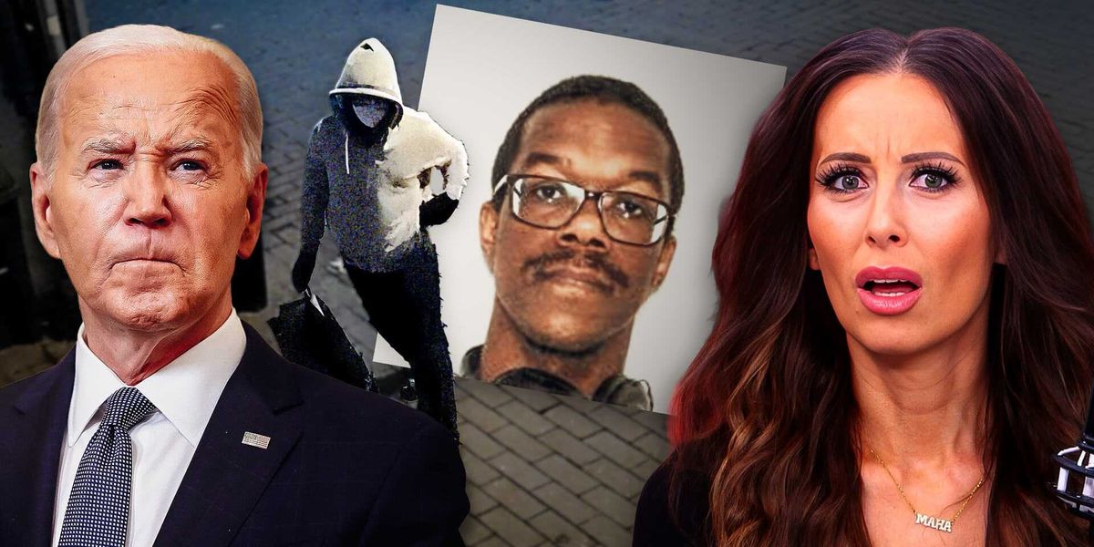 Alleged pipe bomber finally caught and with the resume of a left-wing activist 2 The New Atlantis