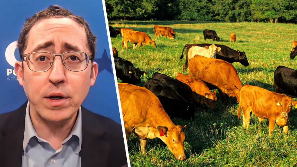 Forget Greenland — we’re losing the real green land that feeds America