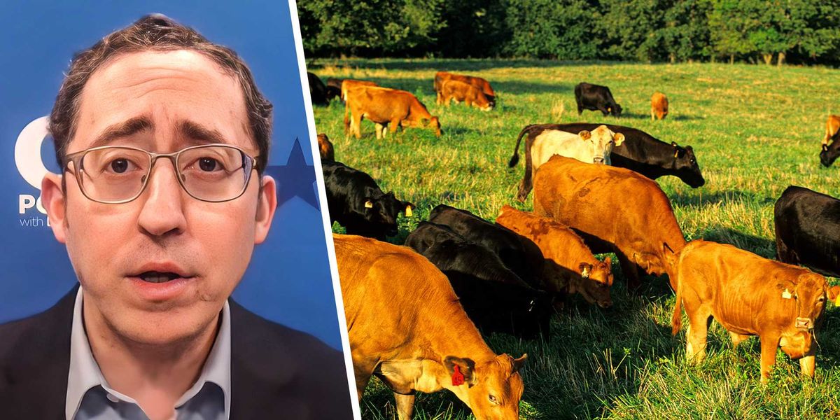 Forget Greenland — we’re losing the real green land that feeds America