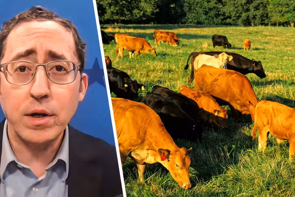 Forget Greenland — we’re losing the real green land that feeds America