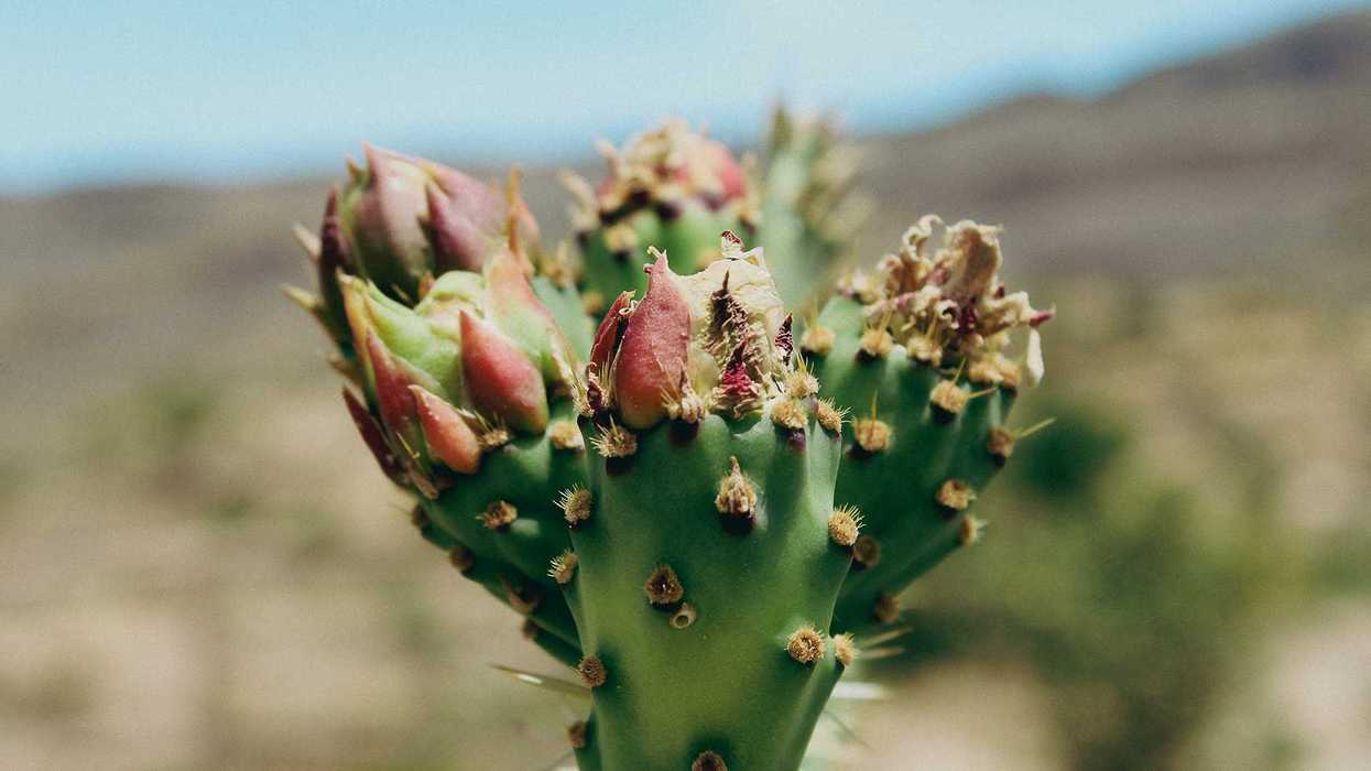 White-knuckling the Apache Trail