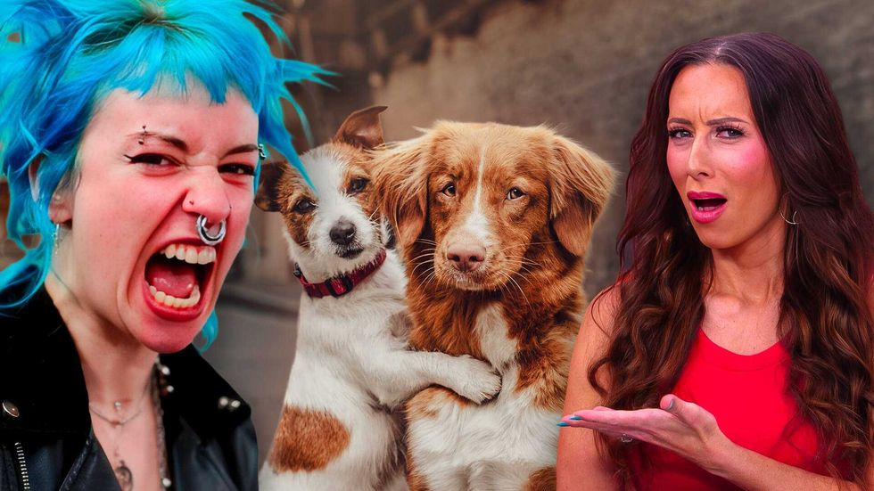 ‘The party of hating dogs’: Liberals lose their minds after celebrity attends event to SAVE DOGS at Mar-a-Lago