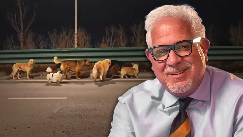 7 dogs destined for China’s illegal meat market miraculously escape and lead each other home — but that's only half the story, says Glenn Beck