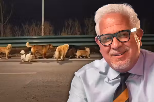 7 dogs destined for China’s illegal meat market miraculously escape and lead each other home — but that's only half the story, says Glenn Beck