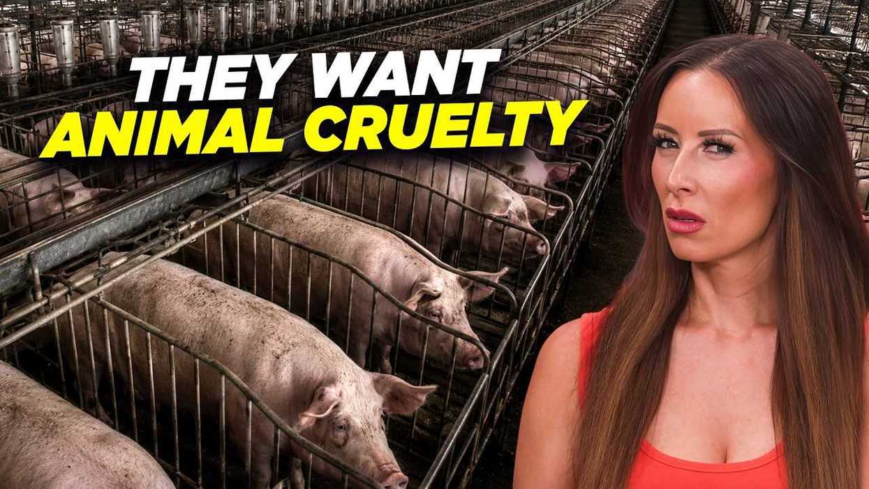 This bill claims to ‘Save Our Bacon.’ It does the opposite
