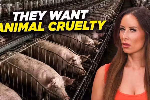 This bill claims to ‘Save Our Bacon.’ It does the opposite