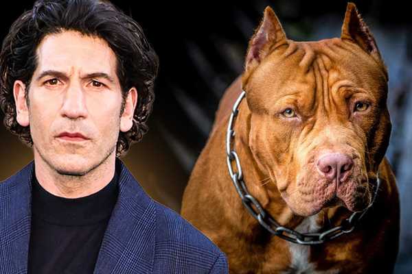 Actor’s pit bull defense takes an INSANE turn: ‘They were bred for violence’