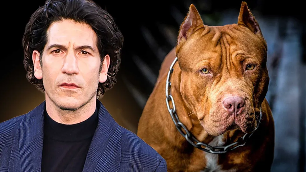 Actor’s pit bull defense takes an INSANE turn: ‘They were bred for violence’