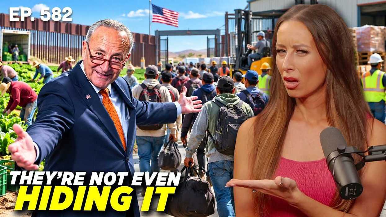 Democrats just revealed their endgame if they retake power