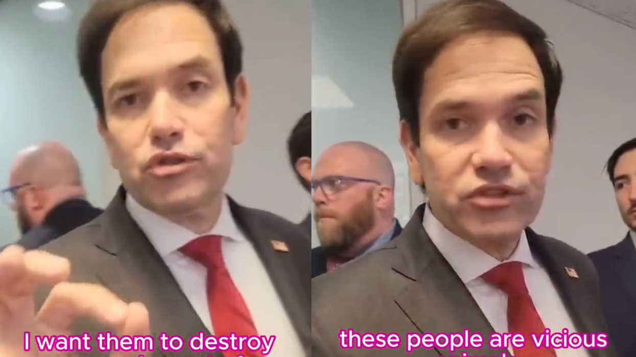 Asked if he will call for a ceasefire, Sen. Marco Rubio informs activist that he wants the 'vicious animals' of Hamas destroyed