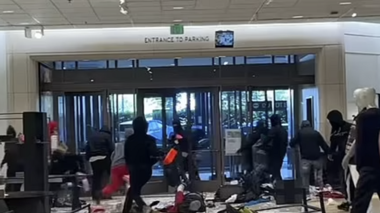 Video: Up to 50 smash-and-grab thieves ransack LA Nordstrom