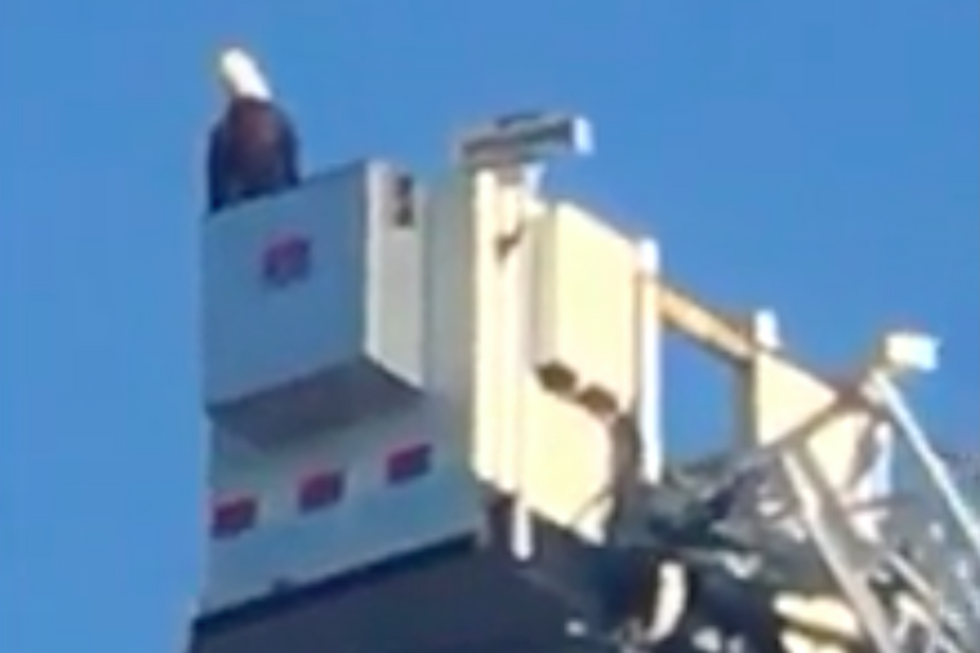 WATCH: Bald eagle's surprise appearance at 9/11 tribute stuns firefighters: 'Unbelievable