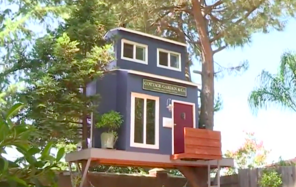California man told by city to take down treehouse on his property after anonymous tip