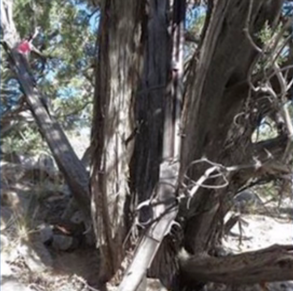 Can You Spot the Remarkable, 132-Year-Old Discovery in This Photo?