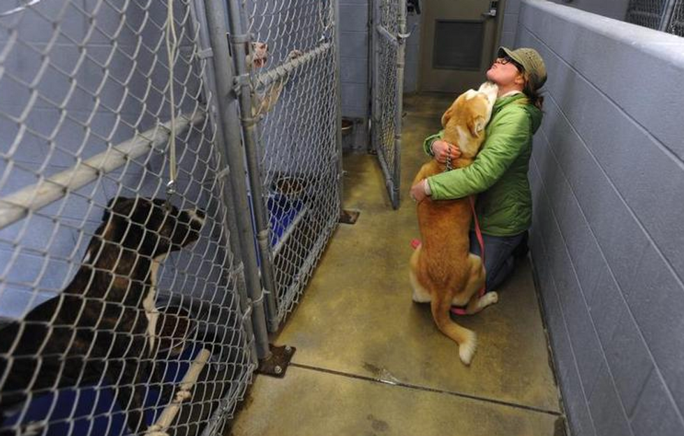 Supporters of this new House bill are hoping to save pets from domestic violence