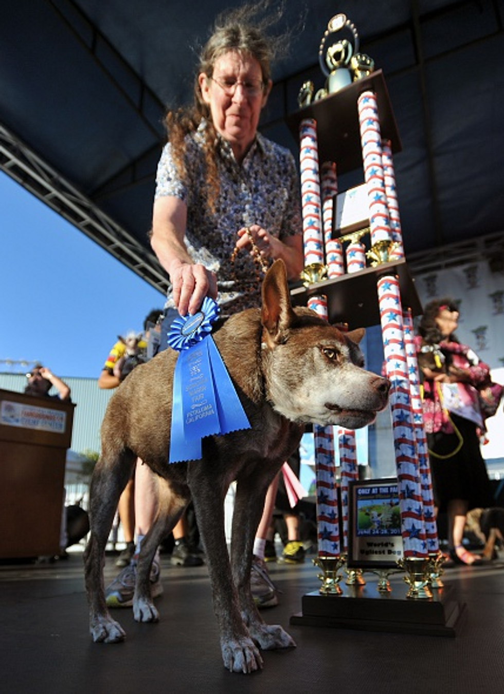 See the Dog That Was Dubbed This Year's 'World's Ugliest Dog