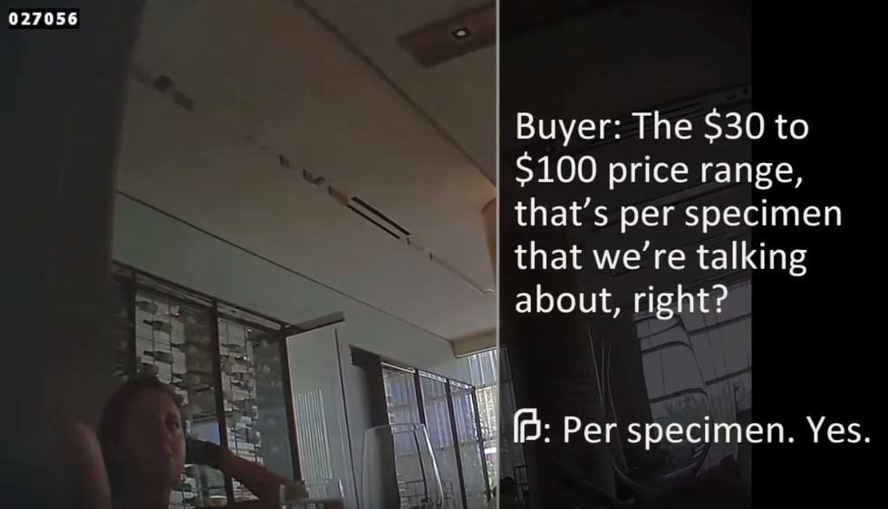 Planned Parenthood Warns More Undercover Sting Videos Could Soon Emerge — Some Likely Racially Charged