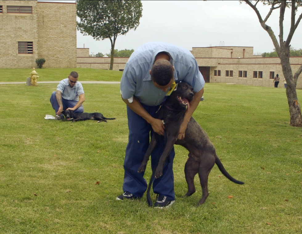The Heart of America: Dogs Behind Bars