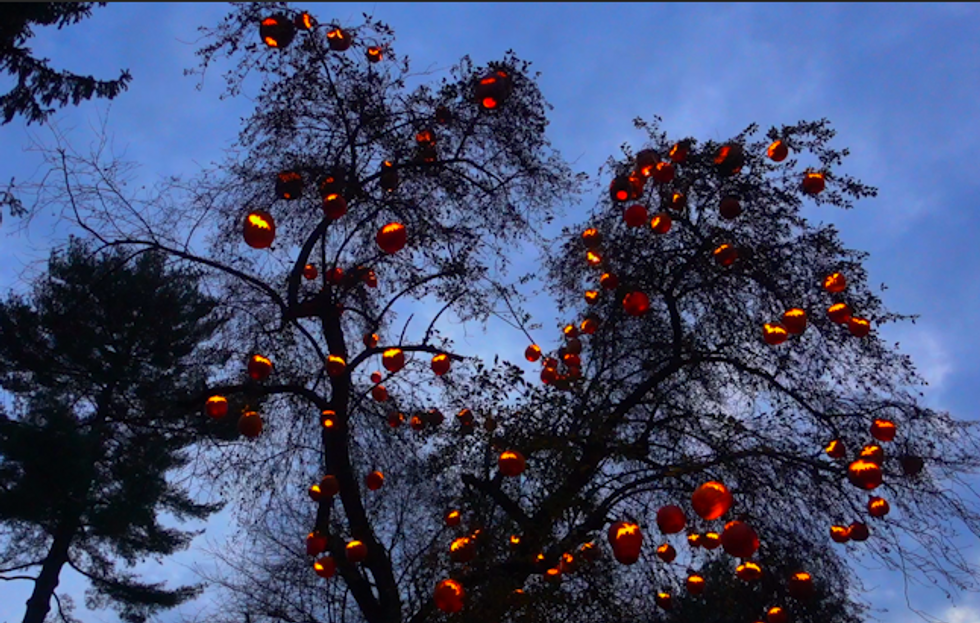 People Really Can't Believe It': Inside the Great Jack O'Lantern Blaze of 2015 