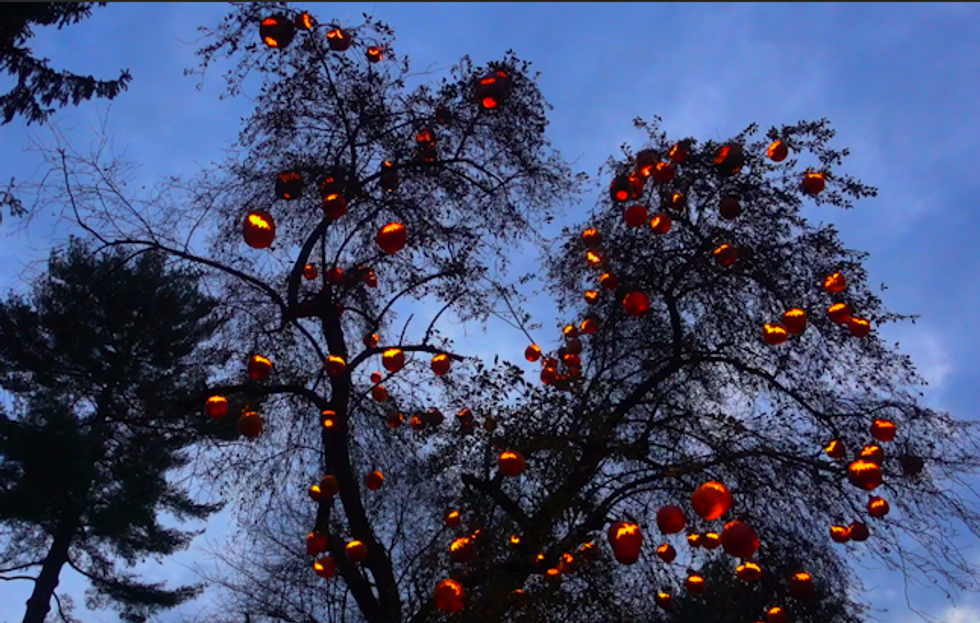 People Really Can't Believe It': Inside the Great Jack O'Lantern Blaze of 2015