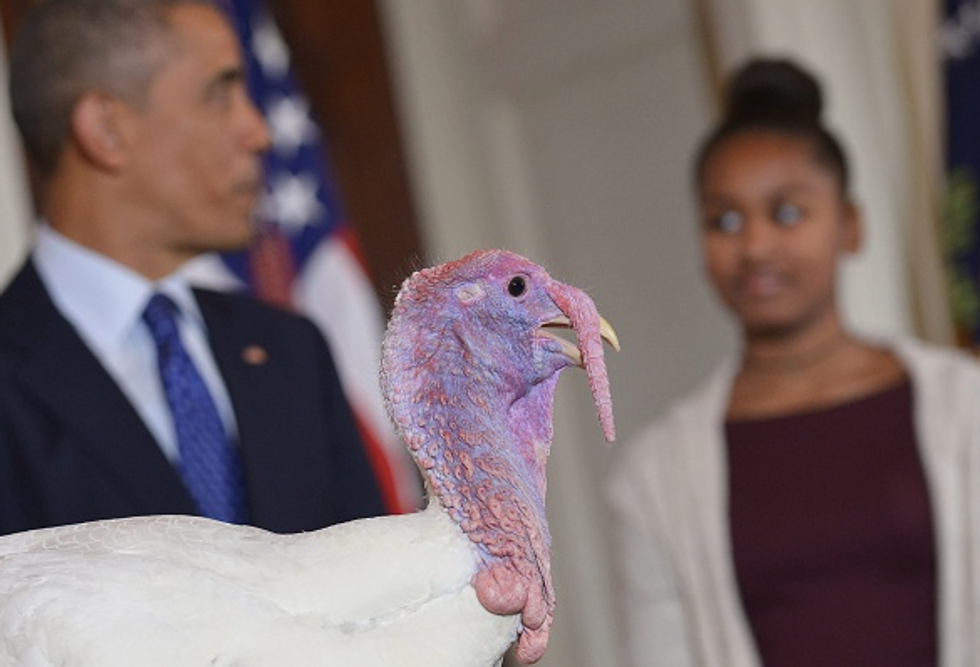 Before Obama Talks Climate in Paris, Turkeys Take ‘Carbon-Intensive Cross Country Flight’ to White House