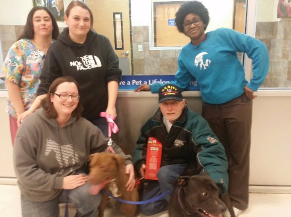 Watch the Reunion of a Veteran With the Dogs He Surrendered to a Shelter After Suffering a Heart Attack