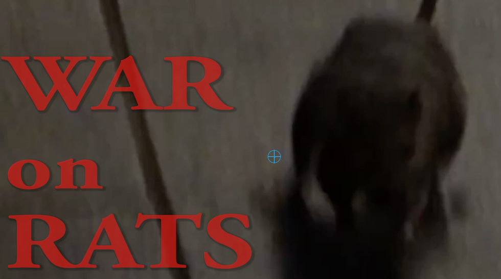 NYC Rat Hunter's Brazen Response to PETA Critics Who He Said Called His Hunts a 'Blood Sport