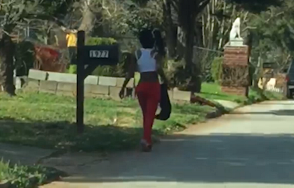 Video Footage Shows a Woman Punching a Dog in the Face