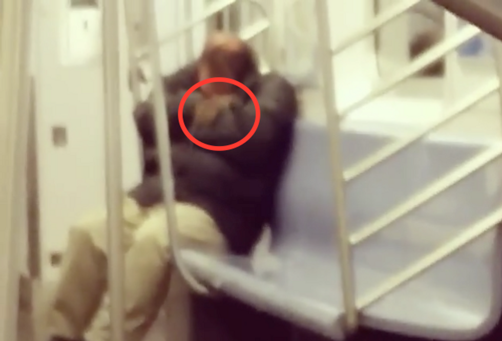 Rat Sneaks Up on Man Sleeping on the NYC Subway — Instead of Waking Him Up, Bystander Records What Happens