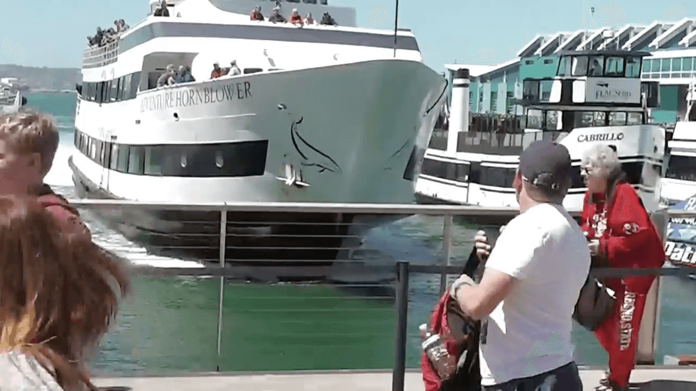 Dramatic New Video Shows Shocking Moment Cruise Ship Crashes Into San Diego Pier
