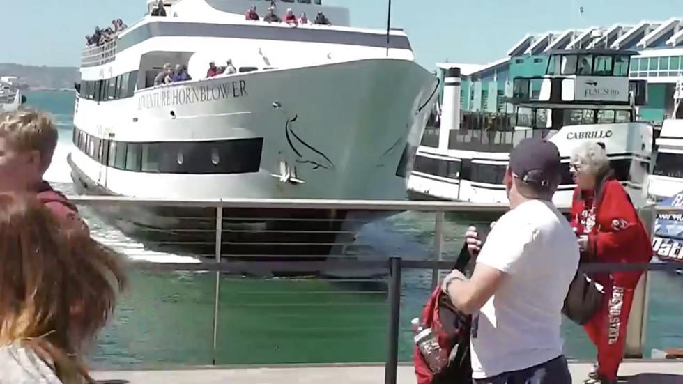 Dramatic New Video Shows Shocking Moment Cruise Ship Crashes Into San Diego Pier 