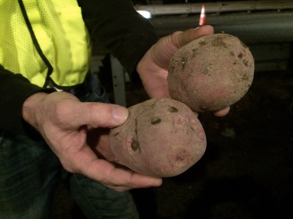 A Sea of Spuds Halts Traffic for Several Hours on a Massachusetts Highway