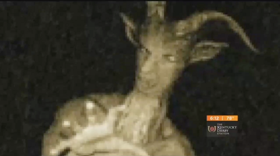 Woman Struck by Train While Searching for Mythical Part-Man, Part-Goat Creature