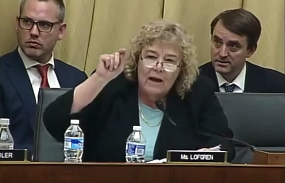See How Dem Congresswoman Reacts During House Hearing When Witness Offers Her Opinion on Transgender Debate