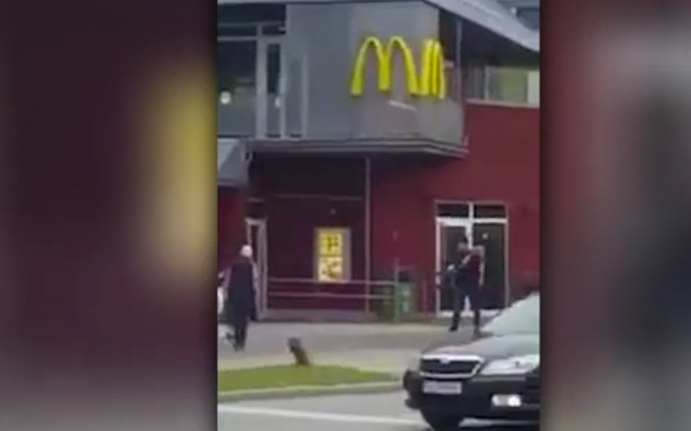 Video Appears to Show Moment Munich Mall Shooter Opens Fire Outside McDonald's