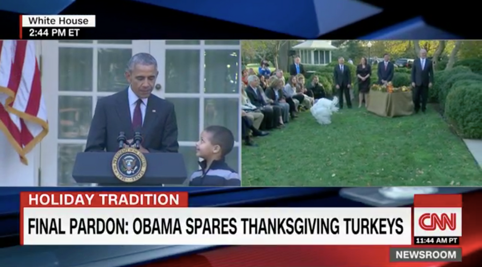 ‘Yes we cran’: Obama unleashes slew of dad jokes during final turkey pardoning