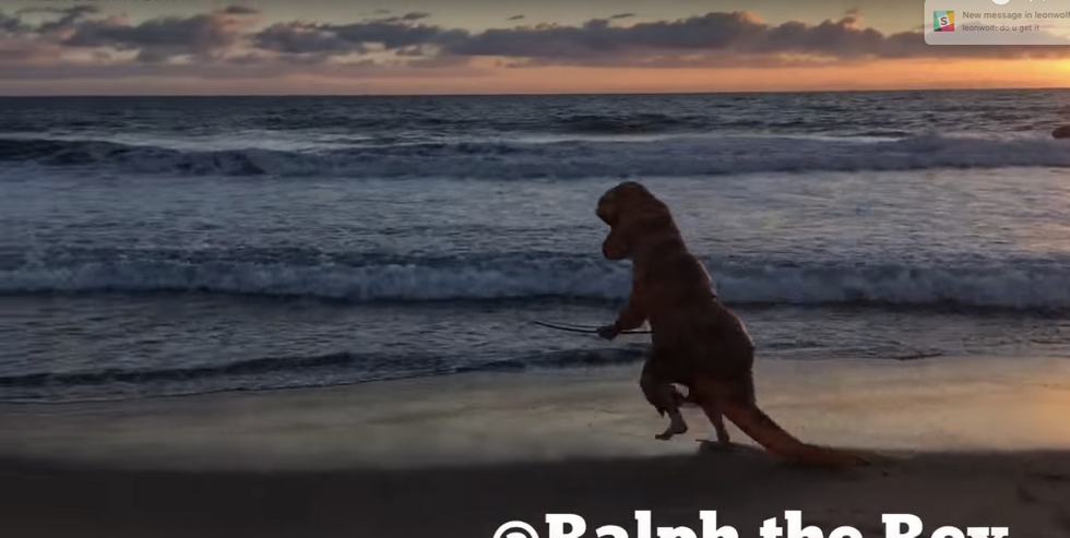 In this viral video, a man in a T-Rex costume attempts to surf — and it goes about how you'd expect