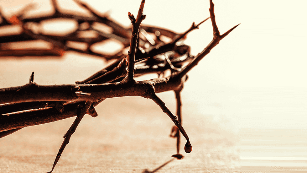 Author: 'The True Jesus' and Christianity promote liberty