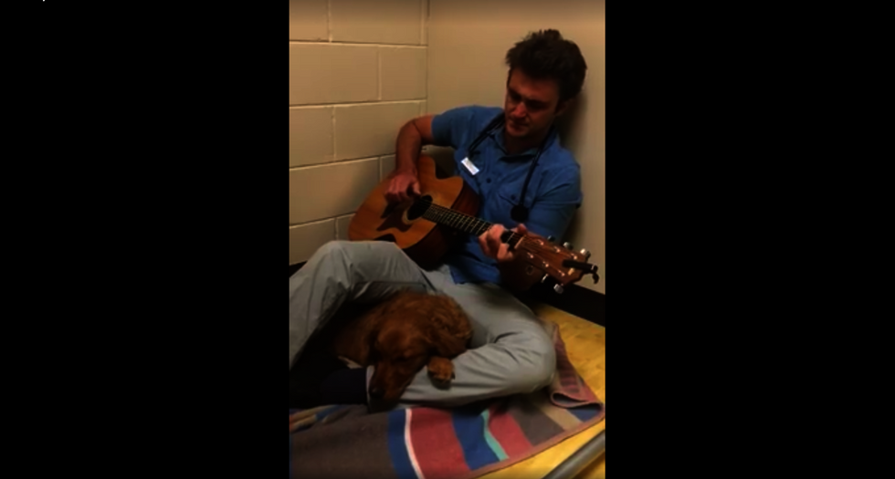 Watch: Kind-hearted veterinarian sings to anxious dog before her surgery