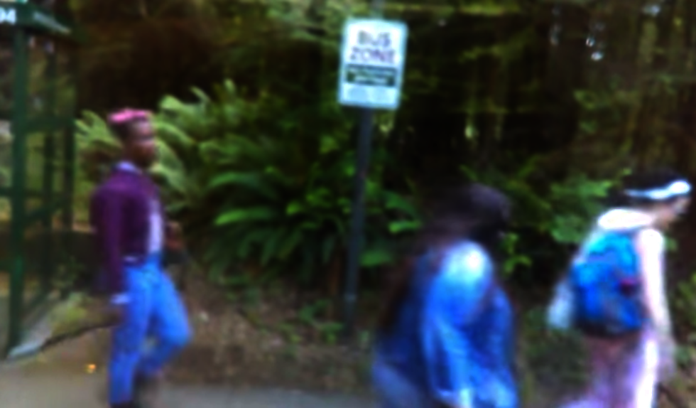 Leftist student group at Evergreen begins 'community policing' university with baseball bats