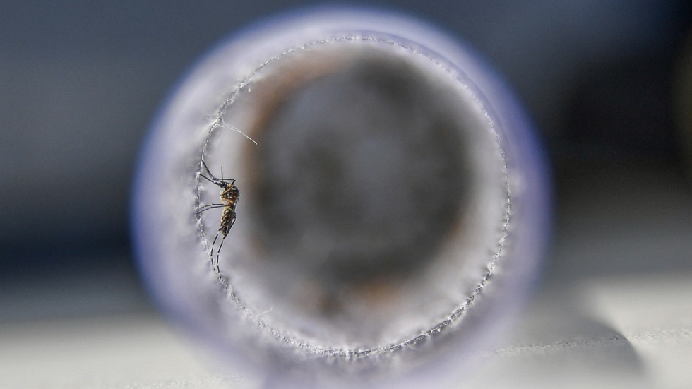 Listen: Should we fear a pandemic that wipes out humanity?