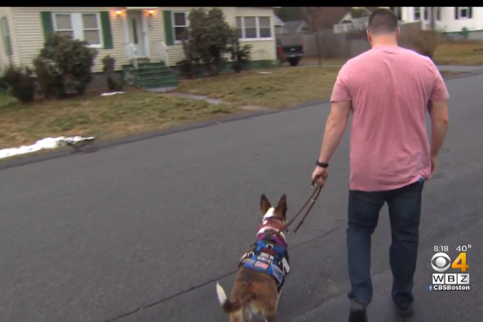 Veterans organization gave a vet a homeless dog — and it changed his life