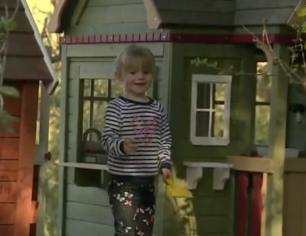 California man fined, banned from building his daughter a playhouse on land he owns
