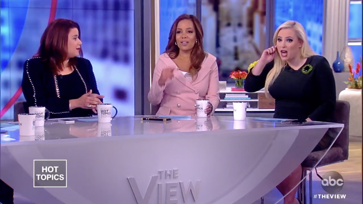 Producer scolds Meghan McCain for Michael Cohen remarks; she snaps back: 'Don’t censor us' on comments 'about a guy like Michael Cohen'