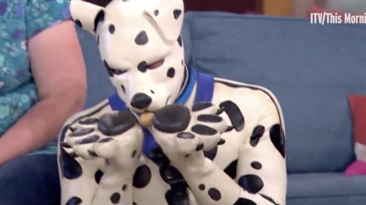 British man who identifies as a pup wears a fur dog suit, barks, licks, and bites his friends