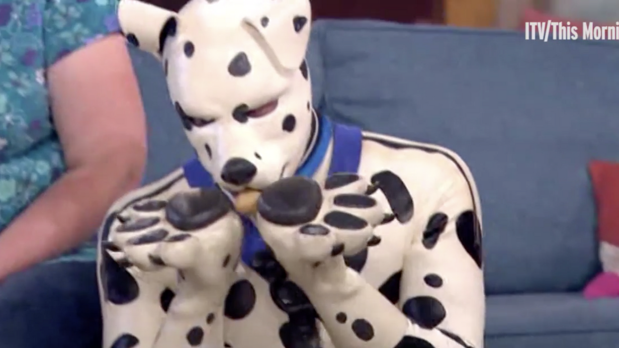 British man who identifies as a pup wears a fur dog suit, barks, licks, and bites his friends